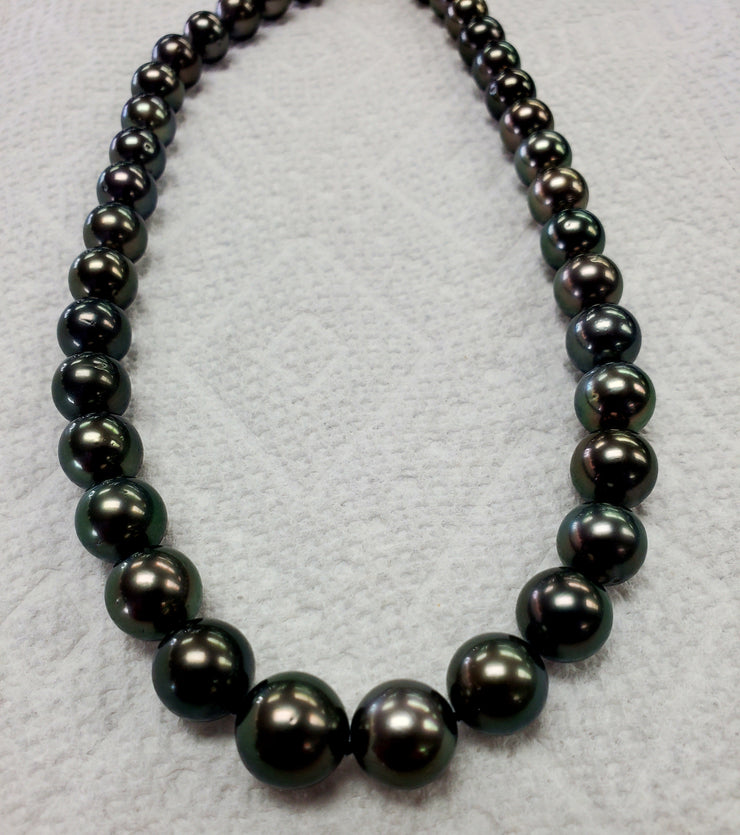 Tahitian Pearl Strand 17" 14 KT Yellow Gold Clasp GIA