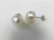 14 Karat White Gold 10mm Pearl Earrings, New