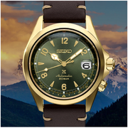 Stainless Steel Gold-Tone Seiko Prospex "Alpinist" Watch New, SPB210