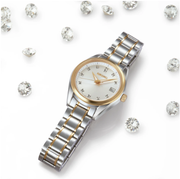 Ladies Two-Tone Seiko Essentials Watch New SUR582